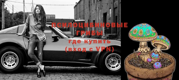 соль ск Верхний Тагил
