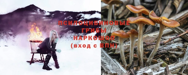 соль ск Верхний Тагил